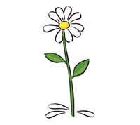 PAPER TRANSFER DAISY - PT-DAISY