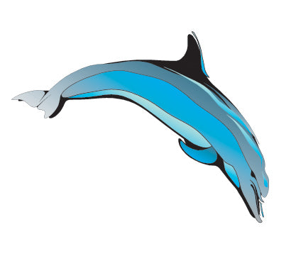 PAPER TRANSFER DOLPHIN - PT-DOLPHIN