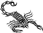 PAPER TRANSFER TATTOO SCORPION FLAMES - PT-T-SCORPION F