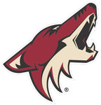 PAPER TRANSFER, NHL ARIZONA COYOTES - PTAC